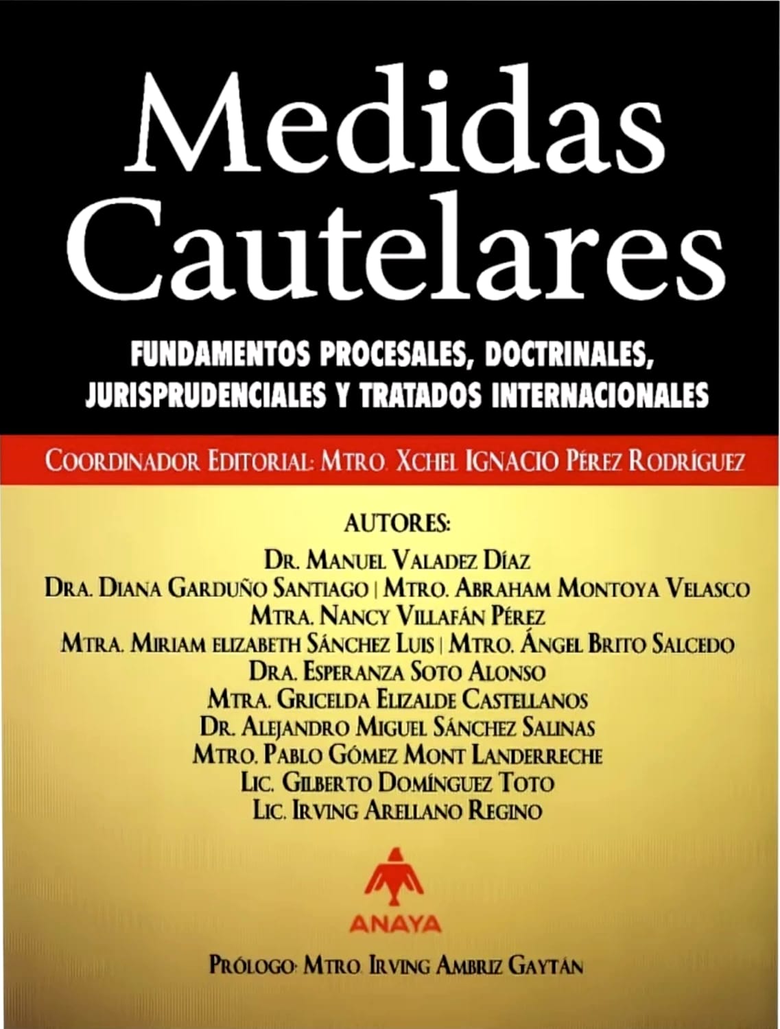 MEDIDAS CAUTELARES 