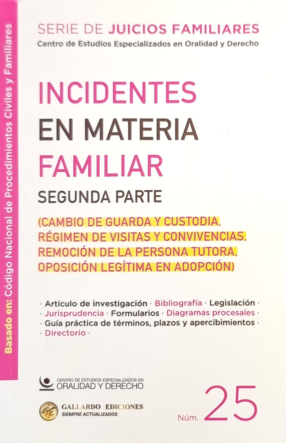 INCIDENTES EN MATERIA DE FAMILIA SEGUNDA PARTE  (TOMO 25)